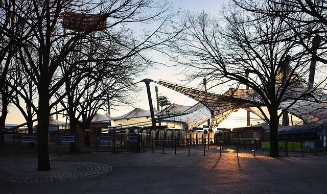 的展现