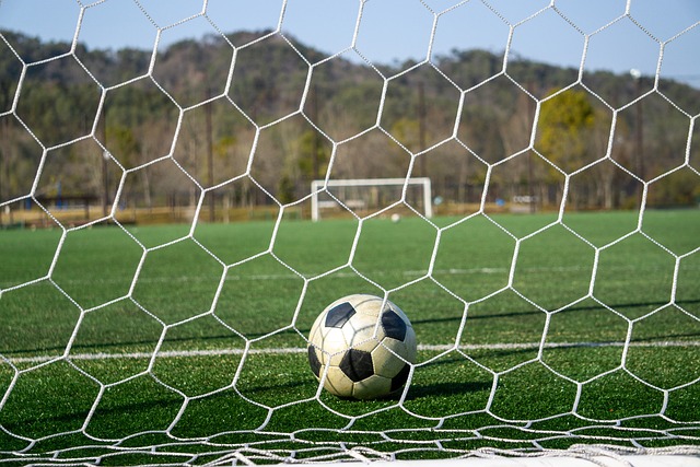 的打法和理 的打法和理