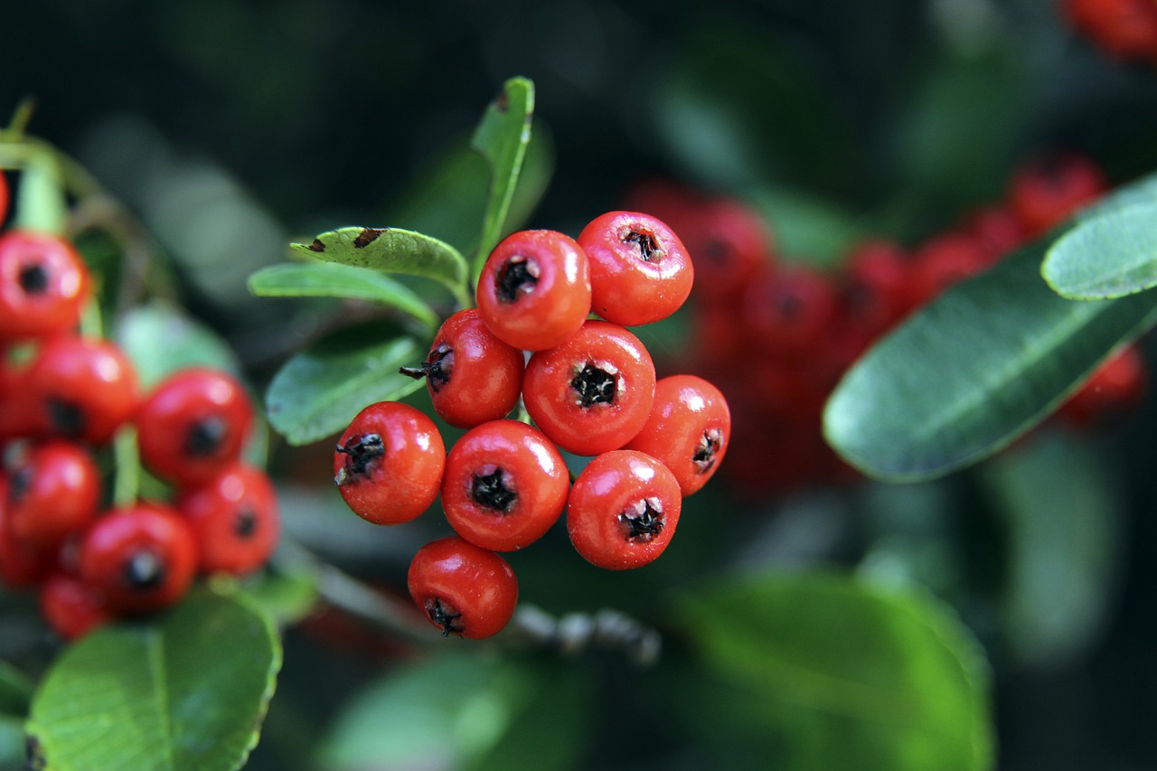 将对手的防 将对手的防