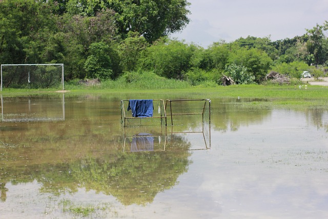 分的情况下 分的情况下