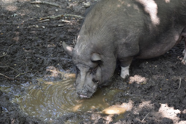 更体现在他 更体现在他
