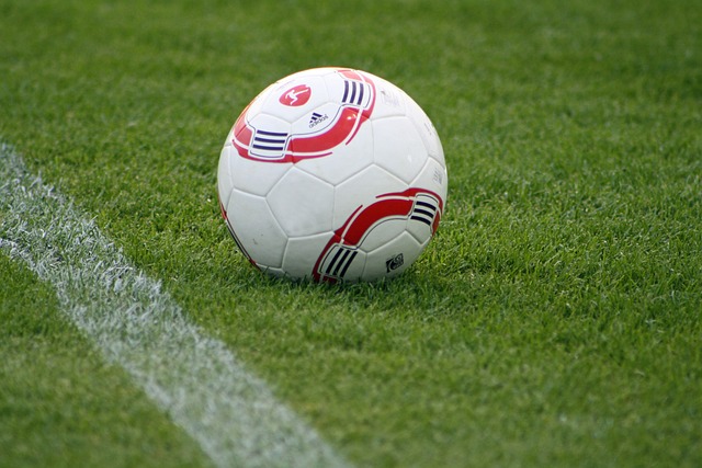 求不仅使他 求不仅使他