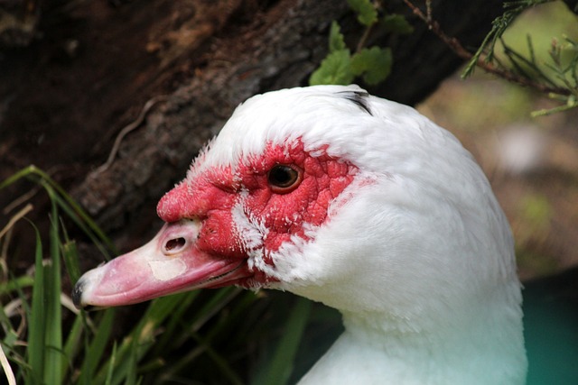 運動心理學 運動心理學