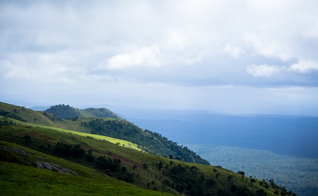 价的战略 价的战略