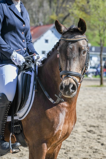社会文化司 社会文化司